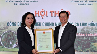 Lansarea mărcii de certificare „Lam Dong Macadamia”.