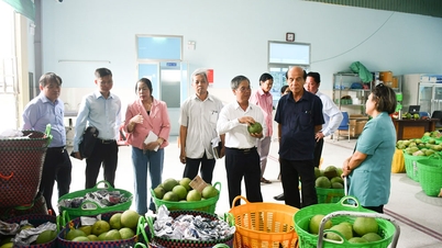 Wakil Ketua Komite Rakyat Provinsi Chau Van Hoa mengunjungi dan bekerja sama dengan koperasi.