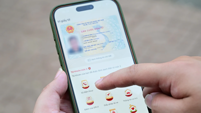 2026년 모바일 가입자 인증은 2023년 데이터 표준화 과정과 어떻게 다른가요?