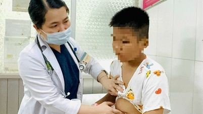 Kesimpulan Wakil Ketua Komite Rakyat Kota Ho Chi Minh mengenai insiden dugaan keracunan makanan di Sekolah Binh Quoi Tay.