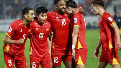 يتواجد المنتخب الوطني الفيتنامي في المجموعة الثالثة من الفرق المصنفة لكأس آسيا 2027.