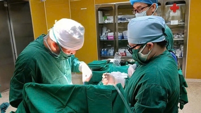 کوانگ نین میں ہاضمے کے متعدد سوراخوں میں مبتلا ہونے کے بعد انسان کو بچایا گیا۔