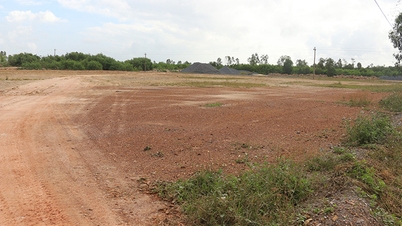 ខេត្តតៃនិញខិតខំកែលម្អមូលដ្ឋានទិន្នន័យដីធ្លីរបស់ខ្លួន។