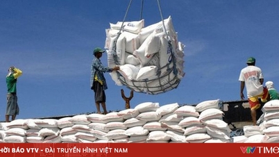 Filipinas e Malásia são os principais importadores de arroz vietnamita.