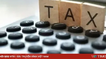 Como as empresas individuais que vendem por meio de múltiplos canais declaram impostos?