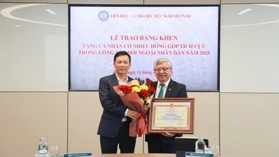 BIDV y el Comité de Paz de Vietnam: Vinculando la misión de paz y el desarrollo sostenible.