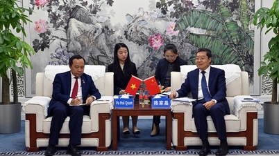 Việt Nam - Trung Quốc thúc đẩy hợp tác công nghệ chiến lược và nhân lực