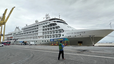 A Saigon Newport Corporation está aprendendo com a experiência de receber navios de cruzeiro no Porto de Tien Sa.