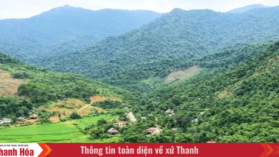 Komune Linh Son sedang berupaya untuk merelokasi dan menstabilkan warga di daerah yang berisiko terkena banjir bandang dan tanah longsor sebelum musim hujan.
