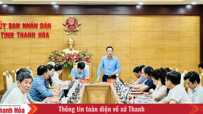 Thanh Hoa streeft ernaar de algemene economische volkstelling van 2026 volgens schema af te ronden.