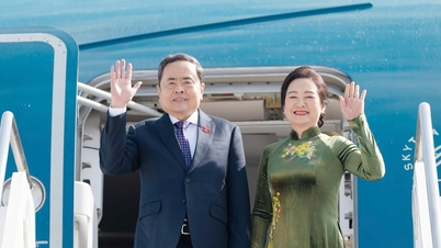 Voorzitter van de Nationale Vergadering Tran Thanh Man is in Istanbul aangekomen om de 152e Algemene Vergadering van de Interparlementaire Unie (IPU) bij te wonen en bilaterale activiteiten in Turkije te ontplooien.