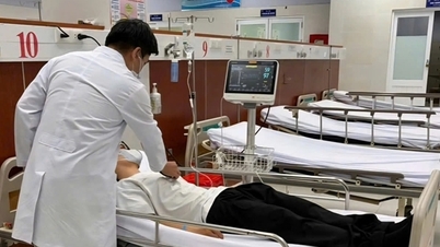 Onze travailleurs hospitalisés après un déjeuner contenant des fruits de mer.