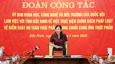 La commission de l'Assemblée nationale sur la science, la technologie et l'environnement a examiné la mise en œuvre des politiques de sécurité alimentaire à Bac Ninh.