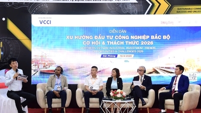Hai Phong membangunkan tiga tonggak, mempercepatkan pendigitalan bagi meningkatkan daya saing.