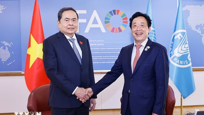 Podpora spolupráce v oblasti zemědělství a potravinové bezpečnosti mezi Vietnamem a FAO.