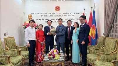 Cooperation in the chemical supply chain contributes to boosting trade relations between Vietnam and Egypt.