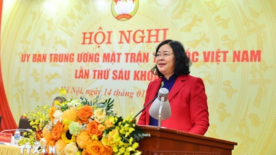 Mengumpulkan pendapat umum mengenai Laporan Politik yang akan dibentangkan di Kongres Kebangsaan ke-11 Barisan Tanah Air Vietnam.
