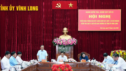 ভিন লং প্রাদেশিক পার্টি কমিটির স্থায়ী কমিটির তত্ত্বাবধানের সিদ্ধান্তসমূহের ঘোষণা।