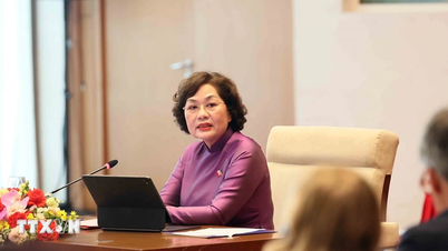 Ulusal Meclis Başkan Yardımcısı Nguyen Thi Hong, ABD-ASEAN İş Konseyi heyetini kabul etti.