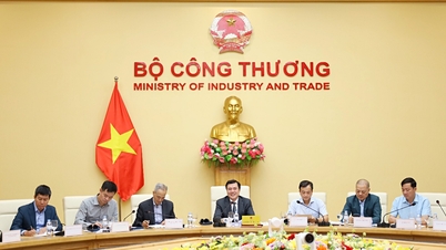 Thứ trưởng Nguyễn Sinh Nhật Tân làm việc với Đoàn doanh nghiệp Hội đồng Kinh doanh Hoa Kỳ – ASEAN