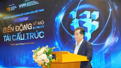 해산된 부동산 사업체의 수가 두 배로 늘었고, 시장은 '정화' 국면에 접어들고 있습니다.
