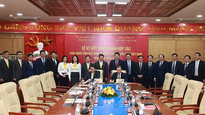 Bac Ninh colabora com os Correios do Vietnã para promover a transformação digital e a reforma administrativa.