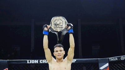Campeonato del León 30: Le Van Tuan defiende su título contra el veterano Tran Trong Kim.