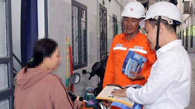 Los líderes de la provincia de Dong Nai recordaron a las unidades subordinadas que pagaran sus facturas de electricidad.