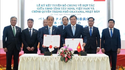 Tay Ninh spolupracuje s japonskými lokalitami v oblasti vzdělávání lidských zdrojů.