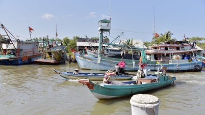 Nghề đánh bắt hải sản ở Vân Khánh, Tân Thạnh