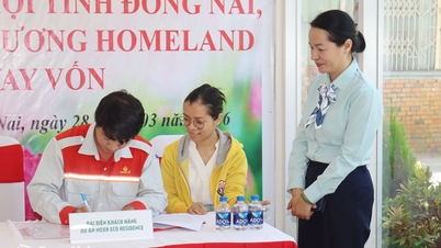 ដំបូលរាប់លាន៖ ចំណុចភ្លឺមួយពី "រាជធានី" ឧស្សាហកម្ម (ផ្នែកចុងក្រោយ)