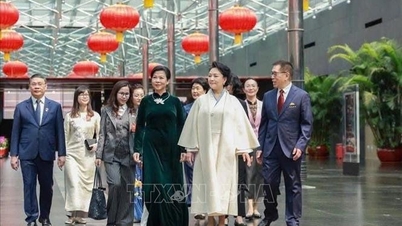 呉鳳麗夫人は、中国の習近平国家主席兼総書記の妻である彭麗媛教授と会談し、意見交換を行った。