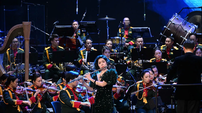 Muzik klasik Vietnam: Daripada khalayak khusus kepada titik pertemuan artistik antarabangsa.