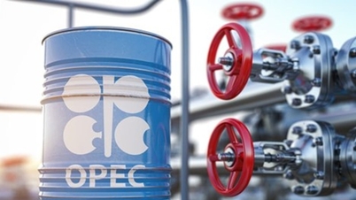 OPEC senket prognosen for oljeetterspørselen i andre kvartal 2026 til 105,07 millioner fat per dag.
