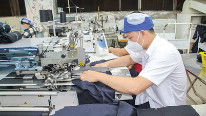 Întreprinderile din Delta Mekong profită în mod proactiv de oportunități și își sporesc competitivitatea.