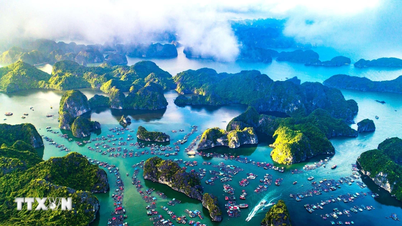 Hai Phong : S'unir pour former une chaîne de produits touristiques de haute qualité.