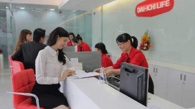 Якими будуть показники Dai-ichi Insurance Vietnam у 2025 році?
