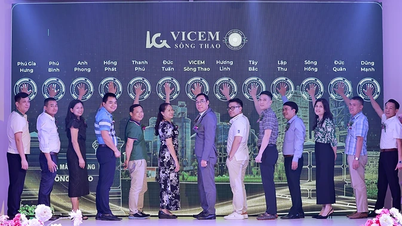 Lansarea produsului de ciment sacat VICEM Song Thao.