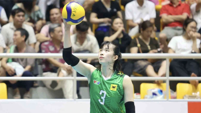 Thanh Thúy menciptakan daya tarik yang sangat besar.