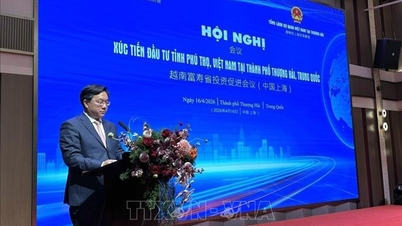 Phu Tho-provinsen främjar investeringar med 39 stora företag från Shanghai (Kina).
