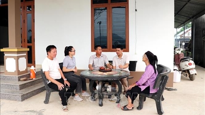 Die Bewegung zur Spende von Land für den Straßenbau in der katholischen Gemeinde Binh Ca.