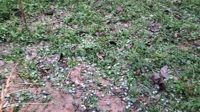 ラオカイ省では、雹と強風により300億ベトナムドン以上の被害が発生した。