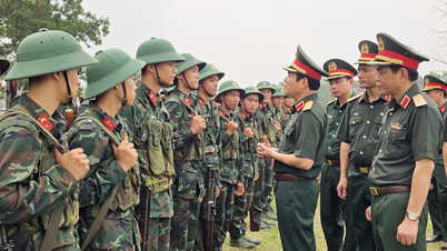 Generál Nguyen Tan Cuong provádí komplexní inspekci pluku 102, divize 308.