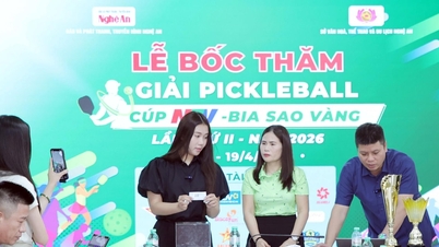 Bekanntgabe der Auslosungsergebnisse für den 2. NTV-Bia Sao Vang Pickleball Cup 2026.