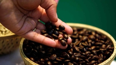 Industria indiană a cafelei riscă să piardă 80% din cota sa de piață din Asia de Vest din cauza tensiunilor din Strâmtoarea Hormuz.