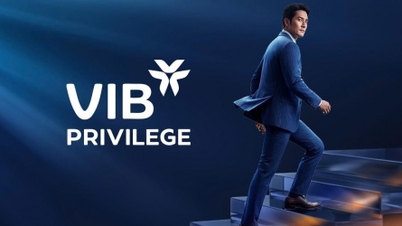 VIB Privilege Banking - Een nieuwe standaard voor prioriteitsbankieren: flexibiliteit, personalisatie en exclusieve privileges die passen bij de status.