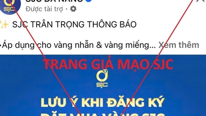 Perusahaan SJC mengeluarkan pemberitahuan mendesak setelah Fangape diserang.