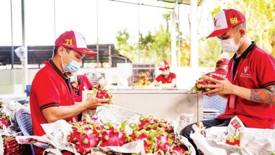 Aanpassingen om de export naar de halalmarkt te stimuleren