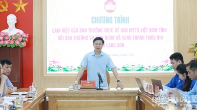 Le Comité permanent du Front de la patrie vietnamienne de la province a collaboré avec le Comité permanent de l'Union provinciale de la jeunesse et le Palais de la jeunesse et des enfants.