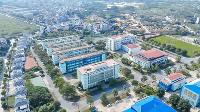 NCT College inovuje své vzdělávací programy a propojuje je s praktickými aplikacemi a mezinárodní spoluprací.